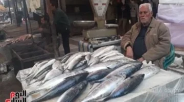 تراجع كبير.. أسعار الأسماك في كفر الشيخ تخالف التوقعات اليوم 1